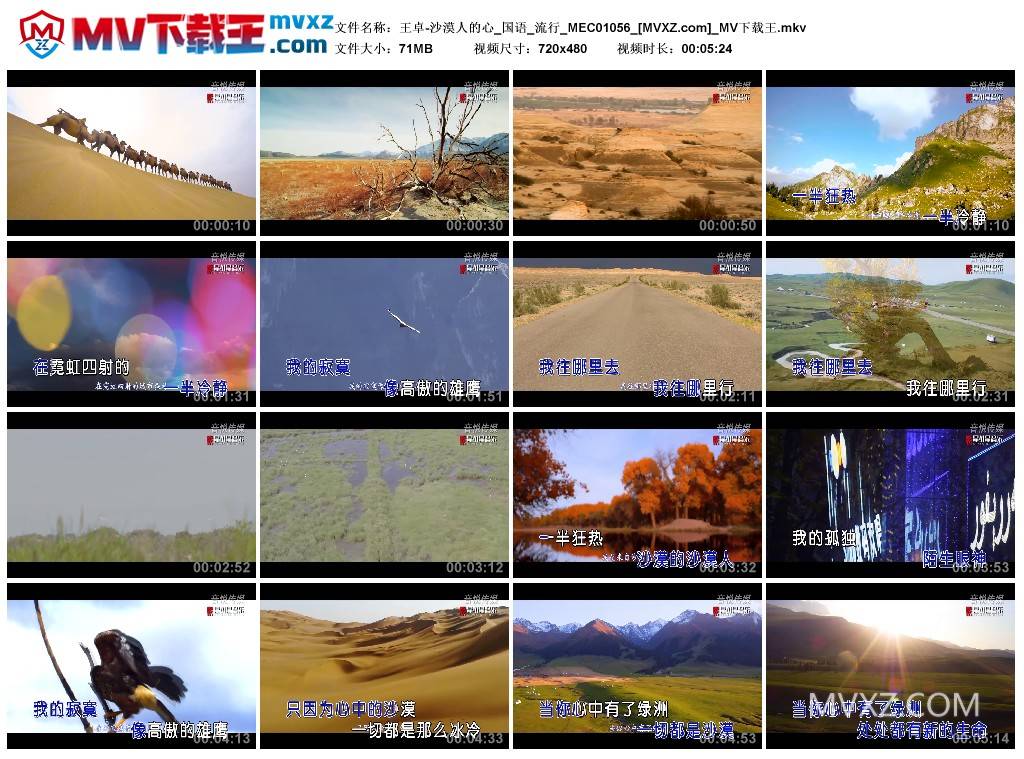 王卓-沙漠人的心_国语_流行_MEC01056